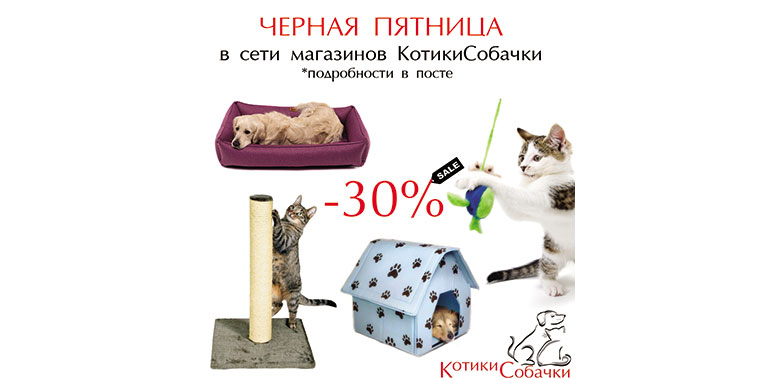 Черная пятница в магазине КотикиСобачки.